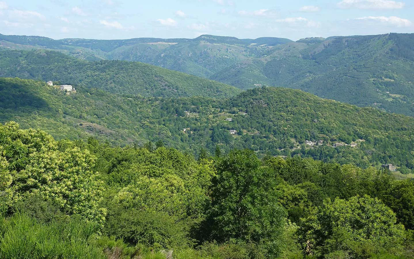 vallon-du-villaret.webp